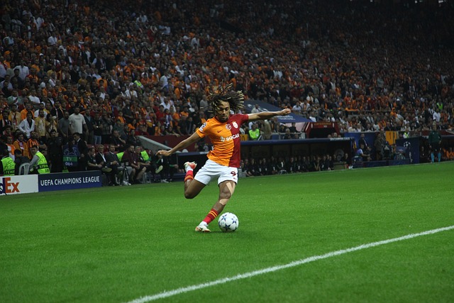 毋庸置疑 毋庸置疑