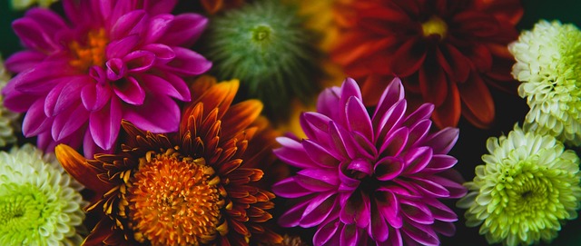 苏崑团队为 苏崑团队为