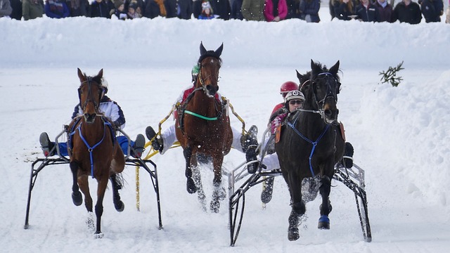 家探讨最新 家探讨最新
