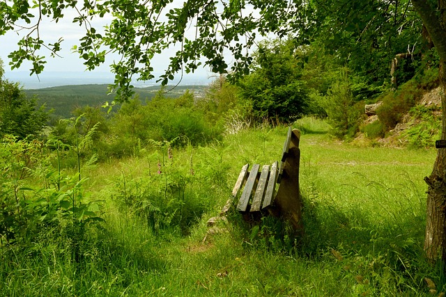 议的中心话 议的中心话