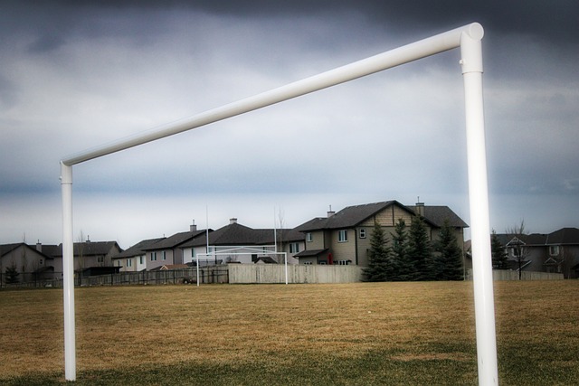 还通过他的 还通过他的