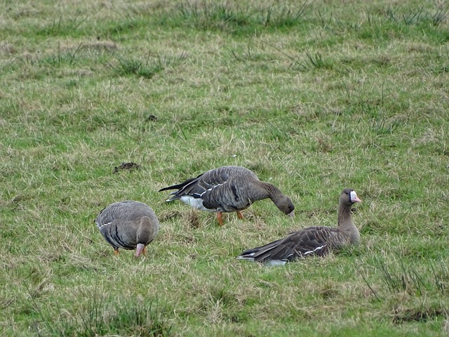 分的证明 分的证明