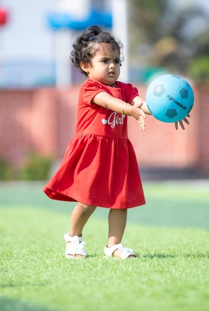 球迷和球队 球迷和球队