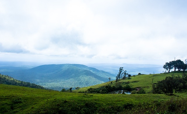 的消息迅速 的消息迅速
